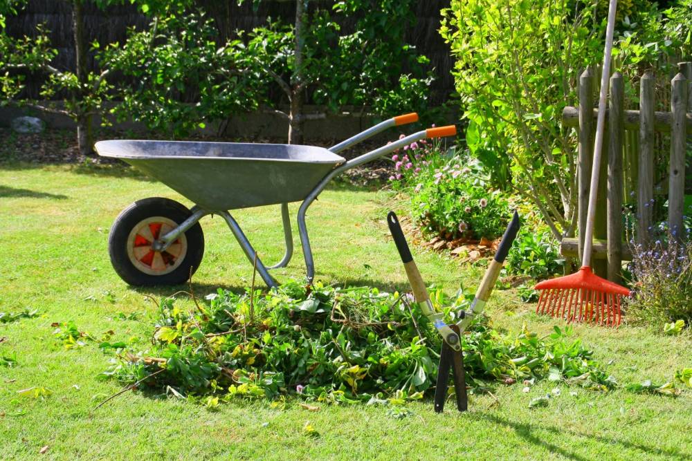 Entretien jardin à Veslud