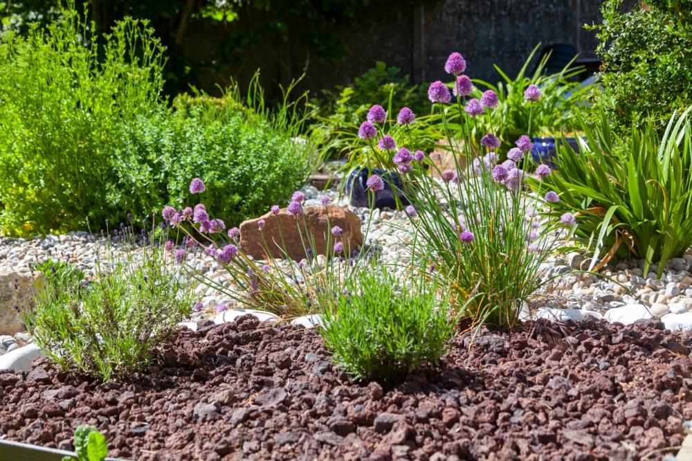 massif de jardin