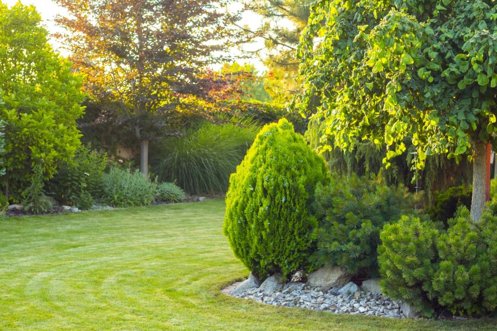 arbres jardin